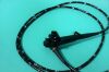 OLYMPUS Gastro-Vet 240 P Gastroscope