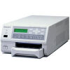 SONY UP-D21MD Printer