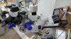 CARL ZEISS VISU 210  O/R Microscope