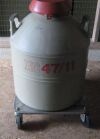 TAYLOR WHARTON 18XT & XC 47/11 Cryo Storage Container