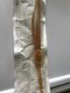 BARD 0187L BARDEX Foley Catheter 14Fr (X) Catheters