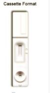 MEDITECH IDE-380-50 DIAGNOSUS ANTI SYPHILLIS TEST STRIP (SERUM/PLASMA)- 50 CT EXPORT ONLY