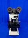 OLYMPUS CX41 Microscope