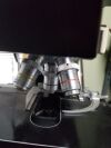 BAUSCH & LOMB BALPLAN Microscope