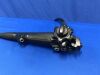 FUJI EG-L590ZW Gastroscope