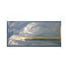 INTEGRA JARIT 305-145 Mayo - Harrington Scissors