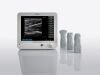 SIEMENS Freestyle Ultrasound System