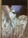 GE Wire for RAB4-8-D Ultrasound Transducer