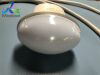 SIEMENS/ACUSON 7CF1 Ultrasound Transducer