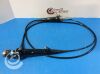 OLYMPUS BF-P60 Bronchoscope