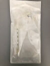 KIMBERLY-CLARK MIC Gastronomy Feeding Tube 24 FR (X) 0100-24