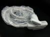 SAMSUNG LN5-9-10ED Ultrasound Transducer