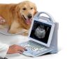 KAIXIN KX5600 Vet. Anesthesia