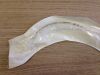 MALLINCKRODT / COVIDIEN Uncuffed Tracheal Tube 3.5mm x 4.9mm (X) 86224