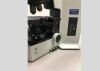 OLYMPUS Refurbished  BX61 FISH Fluorescence  In Situ Hybridization Microscope in Excellent Condition with Warranty $13,850 Microscope