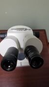 FISHER StereoMaster Microscope