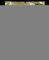 MEDTRONIC LA7EBU375SH Launcher Guiding Catheter