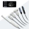 DIAGNOSTIC ULTRASOUND Q9Vet for animals vet