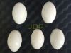 GE RAB4-8-L,D,H,RS Lens(Dome) for 3D4D Ultrasound Probe. Ultrasound Tools