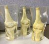 RSD Multiple Tissue Phantom