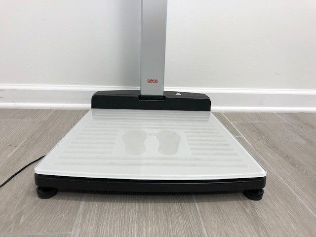 Used SECA Scale For Sale - DOTmed Listing #3738817