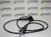OLYMPUS CF-Q160L Colonoscope