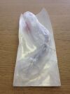 TELEFLEX MEDICAL 175050 LMA Supreme Laryngeal Mask Airway Size5 (X)