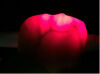 BETTER INSTRUMENT VF-02 Exam Light