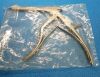 ZIMMER 5977-21 Articular Surface Remover