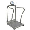 HEALTH-O-METER 2101 Scale