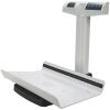 HEALTH-O-METER 522 Scale
