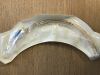 MALLINCKRODT /COVIDIEN 86115  Tracheal Tube (x)