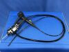 OLYMPUS GIF-XP290N Gastroscope