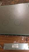 ADVANCE INSTRUMENTS DEVELOPMENT INC. 52959 ICX981 Ion Chamber Rad Room