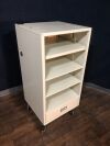 PRACTICAL DESIGN 3849 Endoscopy Cart