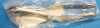 NOVO SURGICAL NS1178 American Extracting Forceps