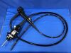 OLYMPUS GIF-H290 Gastroscope