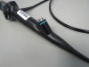 OLYMPUS BFP40 Bronchoscope