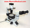 OLYMPUS CKX41 Inverted Microscope