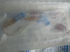 BAXTER Qty. of 25 REF: 7N8332K  One-Link Lead Microbore Catheter Extension Set, Exp. 07/2022