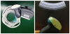 ALPINION SC1-6 ultrasound probe repair crystal replacement Ultrasound Transducer