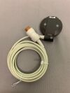 Neonatal Ultrasound Transducer