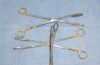 MEDGYN 031123 Ovum Forceps