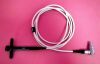 ACUSON TEE 2.0 MHz Ultrasound Transducer