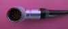 ACUSON TEE 2.0 MHz Ultrasound Transducer