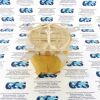 FIXSTER FIXSTER PHANTOM FIXSTER PHANTOM Tissue Phantom