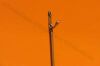 ARTHREX AR-13997MF MultiFire FastPass Shoulder Scorpion + AR-13990N Needle