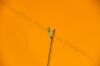 ARTHREX AR-13997SF FastPass Shoulder Scorpion Suture Passer + AR-13990N needle
