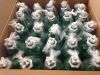 CAREFUSION 5207 Airlife Nebulizer With Air Entrainment, 500mL (50/Box)