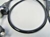 OLYMPUS GIF-XP260N Gastroscope